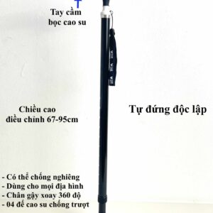 Alternative view of Gậy chống cho người già GBM 024