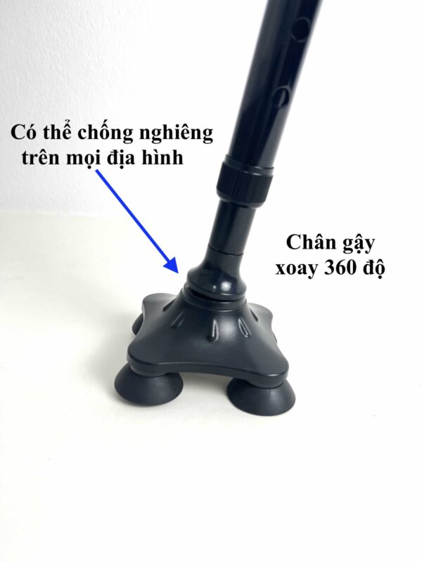 Gậy chống cho người già GBM 024 - Ảnh 4