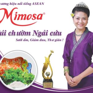 Túi chườm ngải cứu Mimosa
